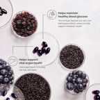 Nu Skin ageLOC Meta™ Purple Berry & Black Rice Metabolic Health Supplement | 120 Softgels