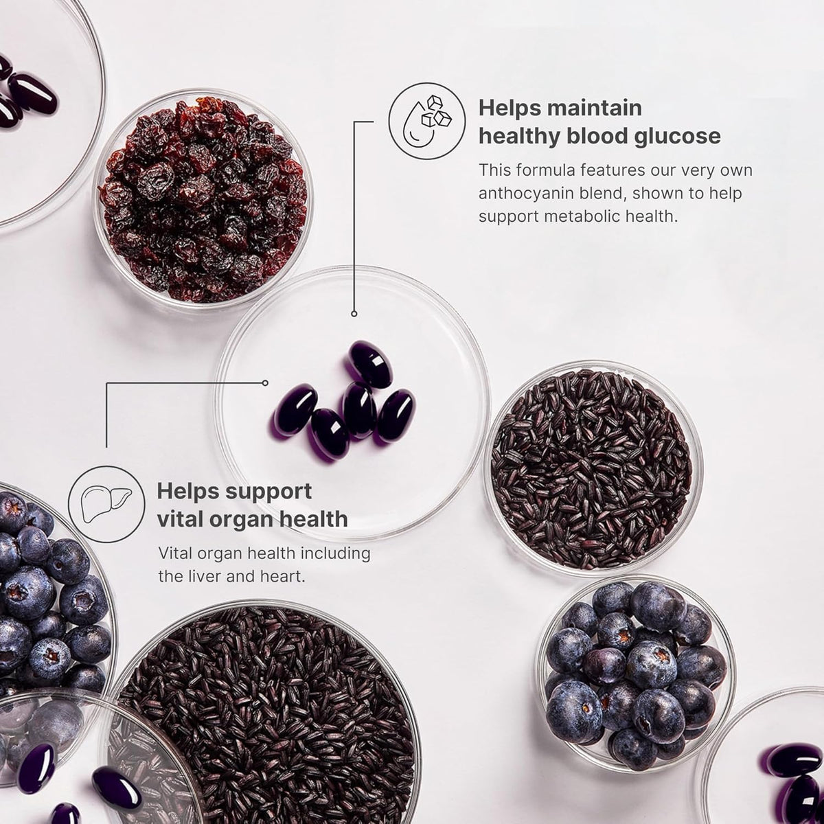 Nu Skin ageLOC Meta™ Purple Berry & Black Rice Metabolic Health Supplement | 120 Softgels